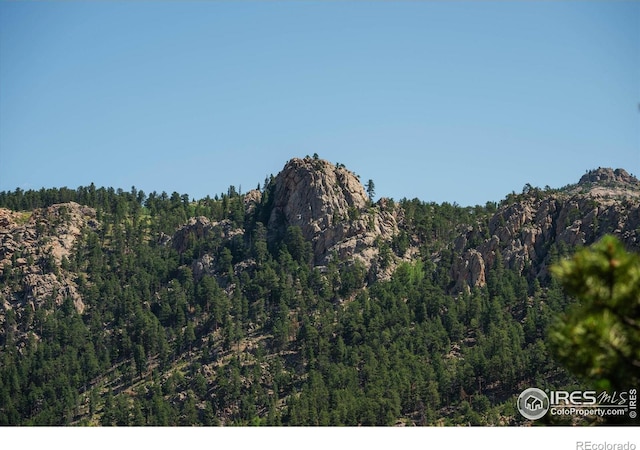 742 Hickory Dr, Lyons, CO 80540 - photo 30