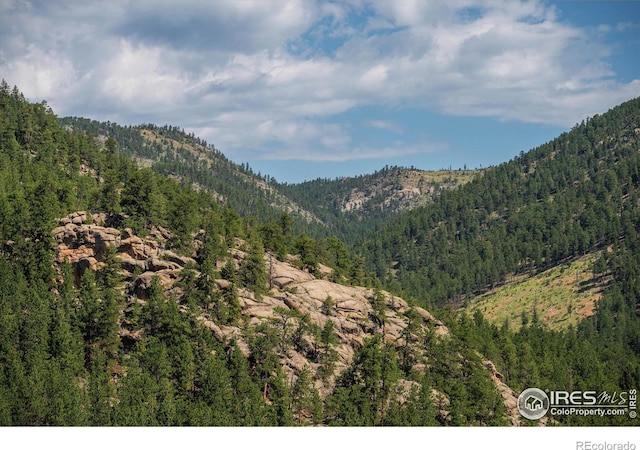 742 Hickory Dr, Lyons, CO 80540 - photo 31