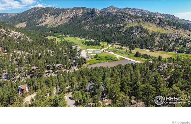 742 Hickory Dr, Lyons, CO 80540 - photo 34