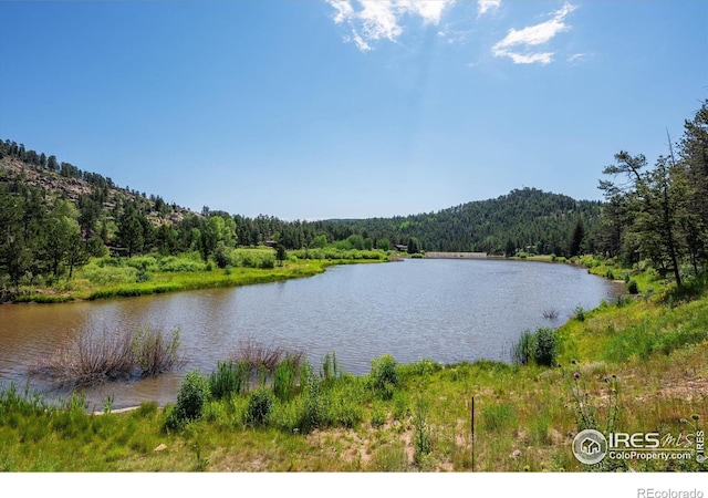 742 Hickory Dr, Lyons, CO 80540 - photo 35