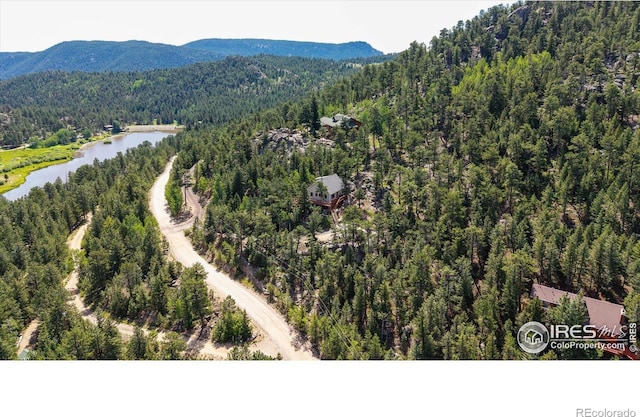742 Hickory Dr, Lyons, CO 80540 - photo 37
