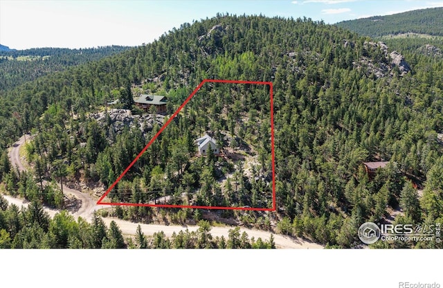 742 Hickory Dr, Lyons, CO 80540 - photo 38