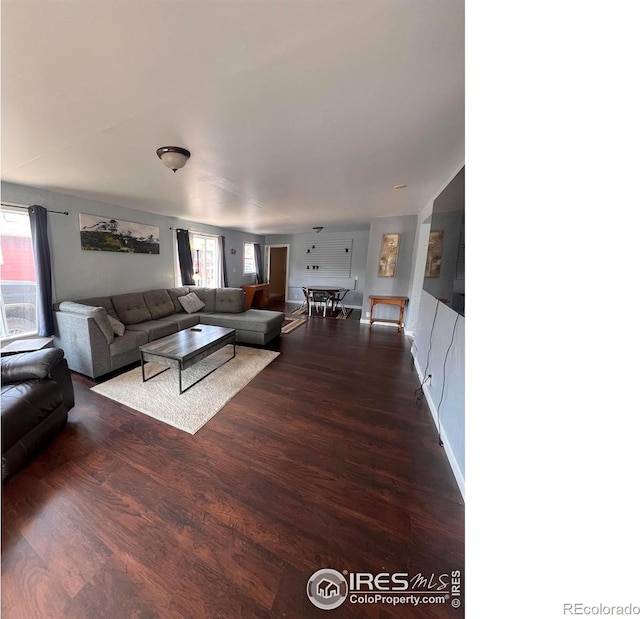 1031 N Lincoln Ave, Loveland, CO 80537 - living area with wood finished floors and healthy amount of natural light