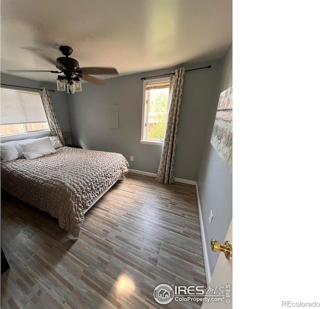 1031 N Lincoln Ave, Loveland, CO 80537 - bedroom with wood finished floors and a ceiling fan