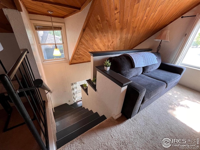 1031 N Lincoln Ave, Loveland, CO 80537 - stairs featuring wood ceiling, plenty of natural light, carpet, a textured wall, and vaulted ceiling