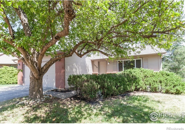 2826 Morgan Ct, Fort Collins, CO 80526 - photo 1