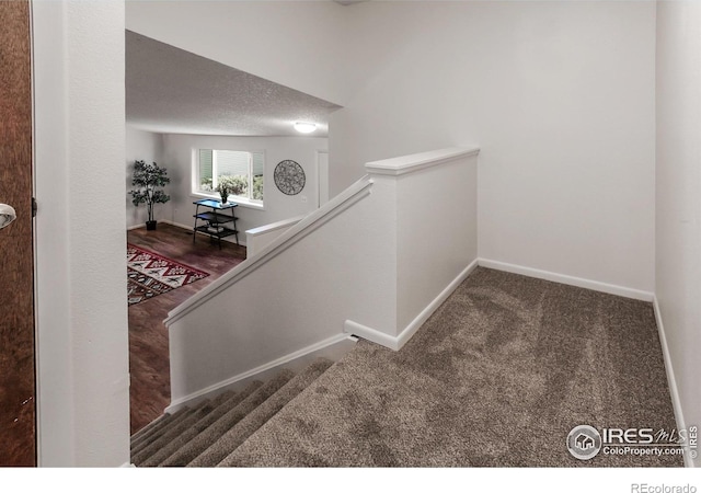 2826 Morgan Ct, Fort Collins, CO 80526 - photo 16