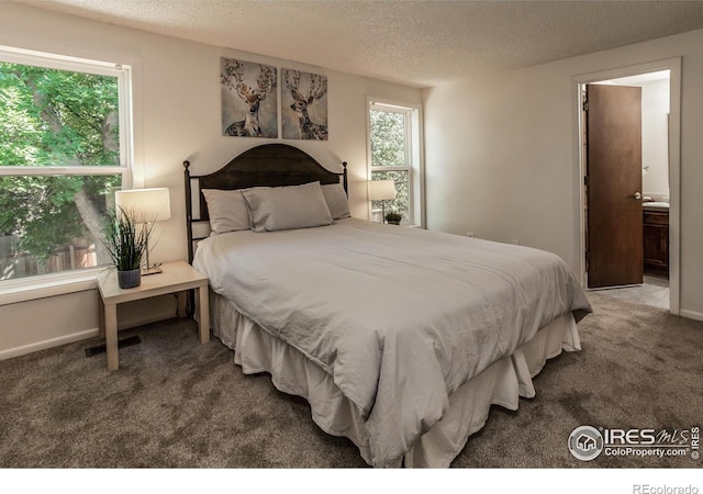 2826 Morgan Ct, Fort Collins, CO 80526 - photo 20