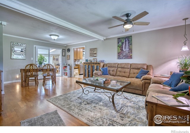 1400 Darton Dr, Johnstown, CO 80534 - living room with ceiling fan, ornamental molding, and wood finished floors