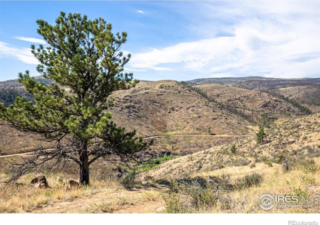 2057 Big Bear Rd, Loveland, CO 80538