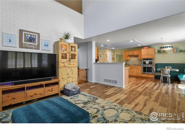 1169 Cooke Ct, Erie, CO 80516 - living room featuring a towering ceiling, light wood finished floors, and recessed lighting