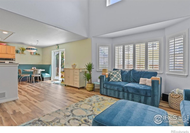 1169 Cooke Ct, Erie, CO 80516 - living area featuring plenty of natural light and light wood-type flooring
