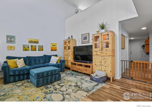 1169 Cooke Ct, Erie, CO 80516 - living room featuring wood finished floors and a high ceiling
