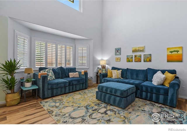 1169 Cooke Ct, Erie, CO 80516 - living area featuring wood finished floors and a high ceiling