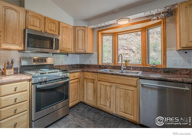 952 Steamboat Valley Rd, Lyons, CO 80540 - kitchen with appliances with stainless steel finishes, backsplash, dark countertops, and dark tile patterned flooring