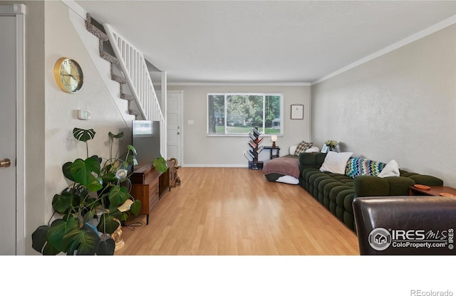 215 Chestnut St Unit A5, Windsor, CO 80550 - living area with wood finished floors, ornamental molding, and stairs