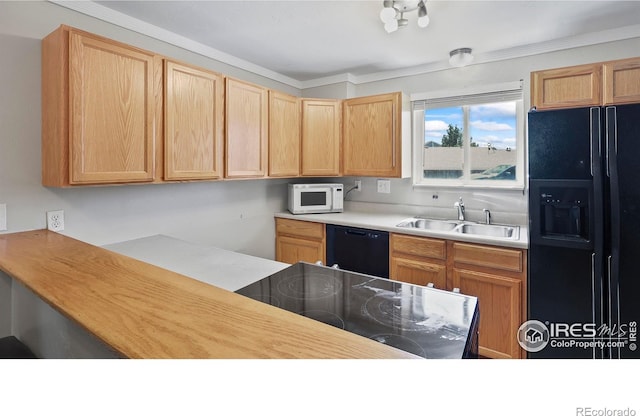 215 Chestnut St Unit A5, Windsor, CO 80550 - kitchen featuring black appliances, light countertops, ornamental molding, and light brown cabinetry
