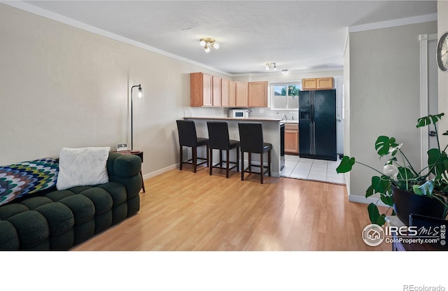 215 Chestnut St Unit A5, Windsor, CO 80550 - living area with light wood-type flooring and ornamental molding