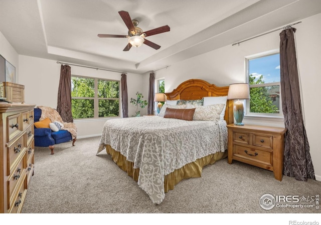 4803 Withers Dr, Fort Collins, CO 80524 - bedroom with light carpet, a raised ceiling, and ceiling fan
