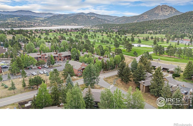 1111 Fairway Club Cir Unit 1, Estes Park, CO 80517 - photo 12