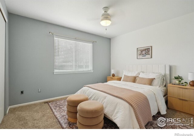 315 Laurel Ave, Eaton, CO 80615 - photo 19
