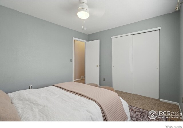 315 Laurel Ave, Eaton, CO 80615 - photo 20