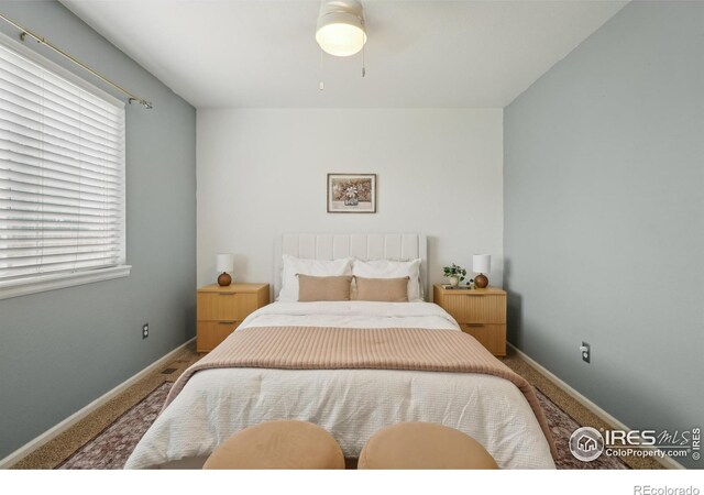 315 Laurel Ave, Eaton, CO 80615 - photo 21