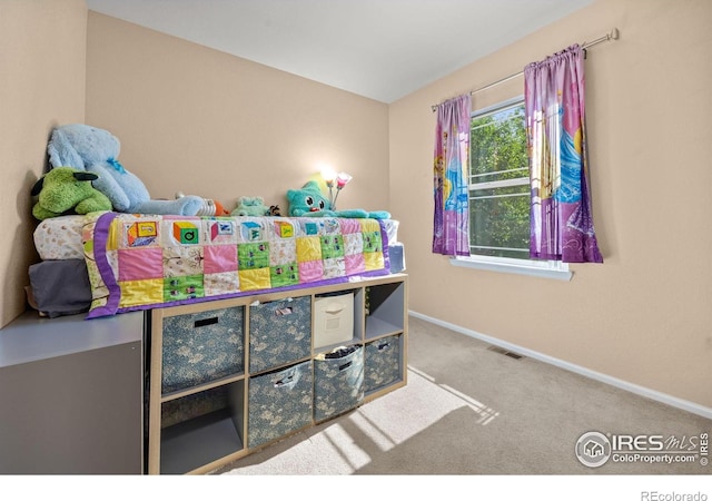 7067 S Malaya Ct S, Aurora, CO 80016 - photo 20