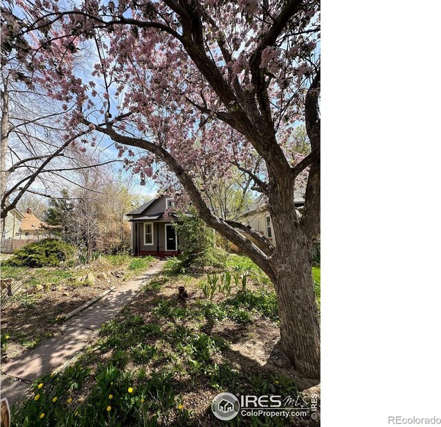428 Baker St, Longmont, CO 80501