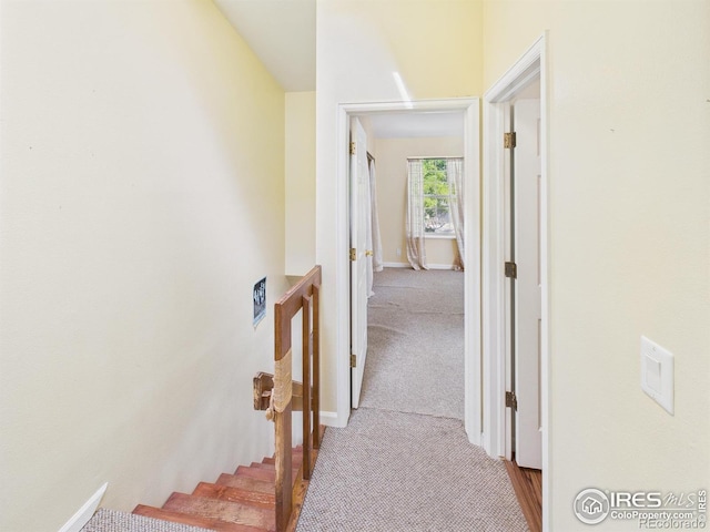 3200 Azalea Dr # 6, Fort Collins, CO 80526 - hall featuring carpet and baseboards