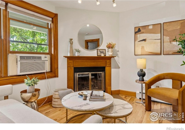 1430 18th St Unit 1, Boulder, CO 80302 - living room featuring a glass covered fireplace, wood finished floors, and baseboard heating