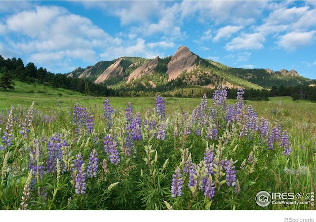 1430 18th St Unit 1, Boulder, CO 80302 - mountain view