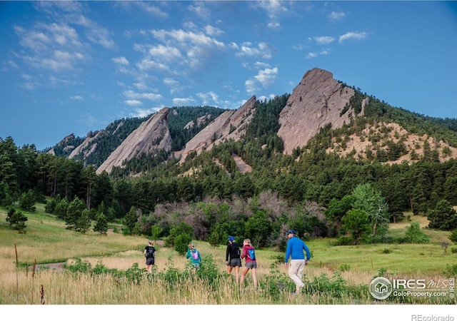 1430 18th St Unit 1, Boulder, CO 80302 - view of mountain background featuring a forest