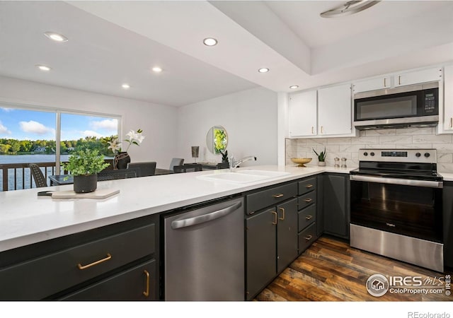 547 Spindrift Ct, Fort Collins, CO 80525 - kitchen featuring stainless steel appliances, recessed lighting, white cabinetry, dark wood-style flooring, and tasteful backsplash