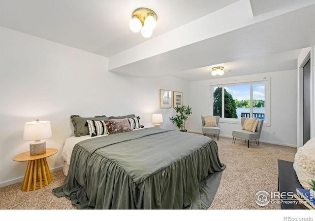 547 Spindrift Ct, Fort Collins, CO 80525 - carpeted bedroom with baseboards