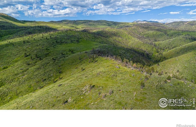 12711 Buckhorn Rd, Loveland, CO 80538 - view of mountain background