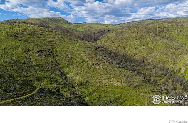 12711 Buckhorn Rd, Loveland, CO 80538 - view of mountain backdrop
