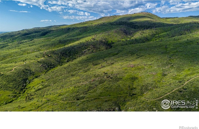 12711 Buckhorn Rd, Loveland, CO 80538 - view of mountain backdrop