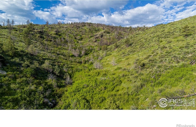 12711 Buckhorn Rd, Loveland, CO 80538 - view of mountain backdrop