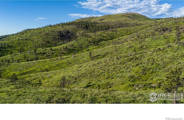 12711 Buckhorn Rd, Loveland, CO 80538 - view of mountain background