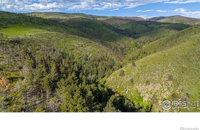 12711 Buckhorn Rd, Loveland, CO 80538 - view of mountain backdrop with a heavily wooded area