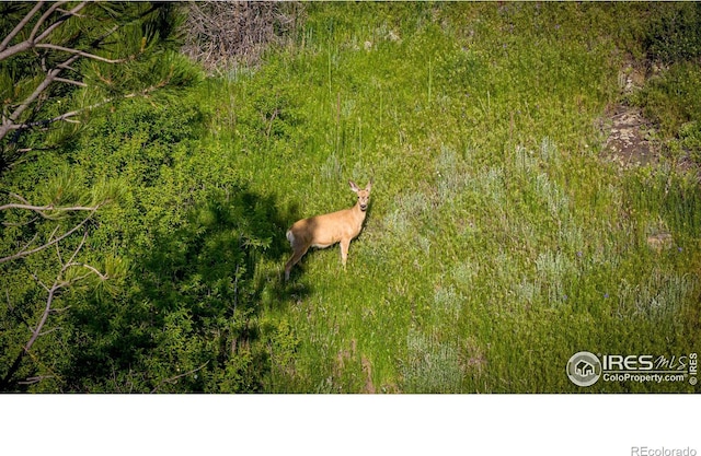 12711 Buckhorn Rd, Loveland, CO 80538 - aerial view
