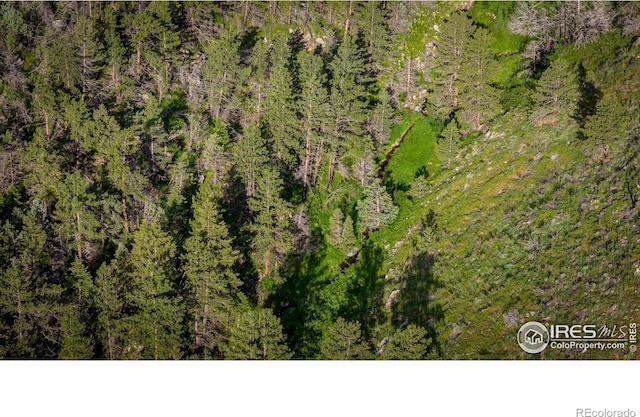 12711 Buckhorn Rd, Loveland, CO 80538 - aerial view of a forest