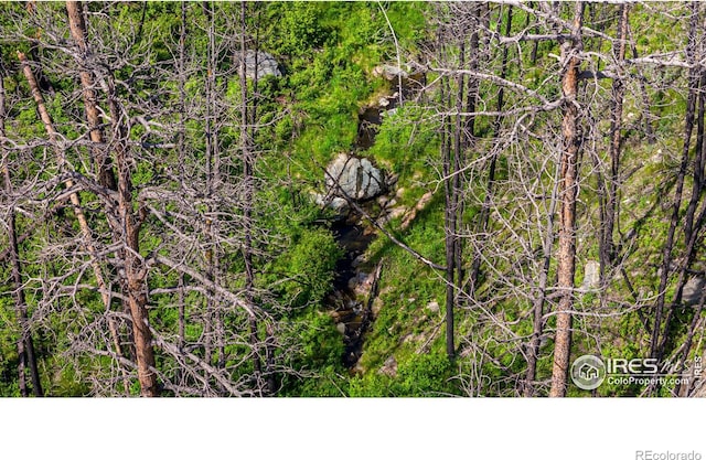 12711 Buckhorn Rd, Loveland, CO 80538 - view of nature