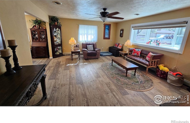 420 Applewood St, Brush, CO 80723 - living room featuring wood finished floors, ceiling fan, and a textured ceiling