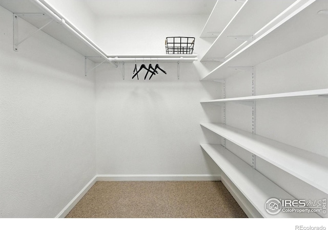 2545 Woodstock Pl, Boulder, CO 80305 - spacious closet featuring carpet floors