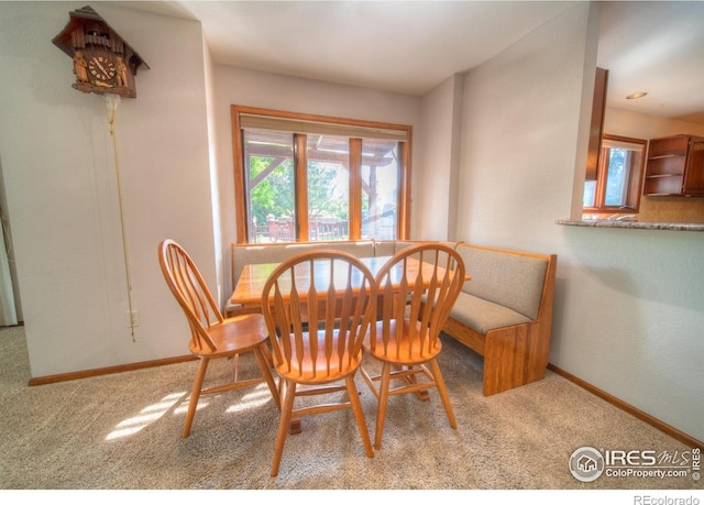 9020 Rogers Rd, Longmont, CO 80503 - photo 8