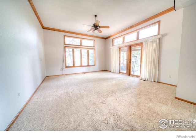 9020 Rogers Rd, Longmont, CO 80503 - photo 9