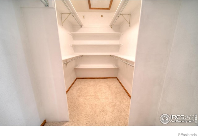 9020 Rogers Rd, Longmont, CO 80503 - photo 14