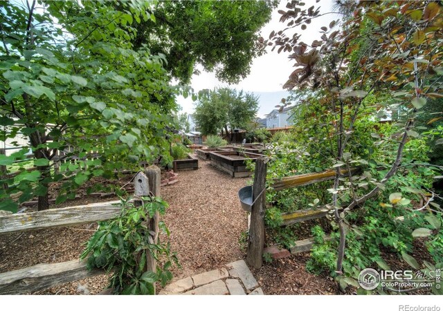 9020 Rogers Rd, Longmont, CO 80503 - photo 28